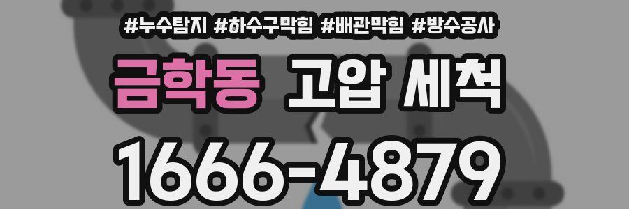 금학동 고압 세척