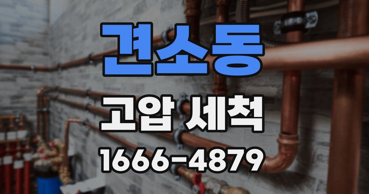 견소동 고압 세척