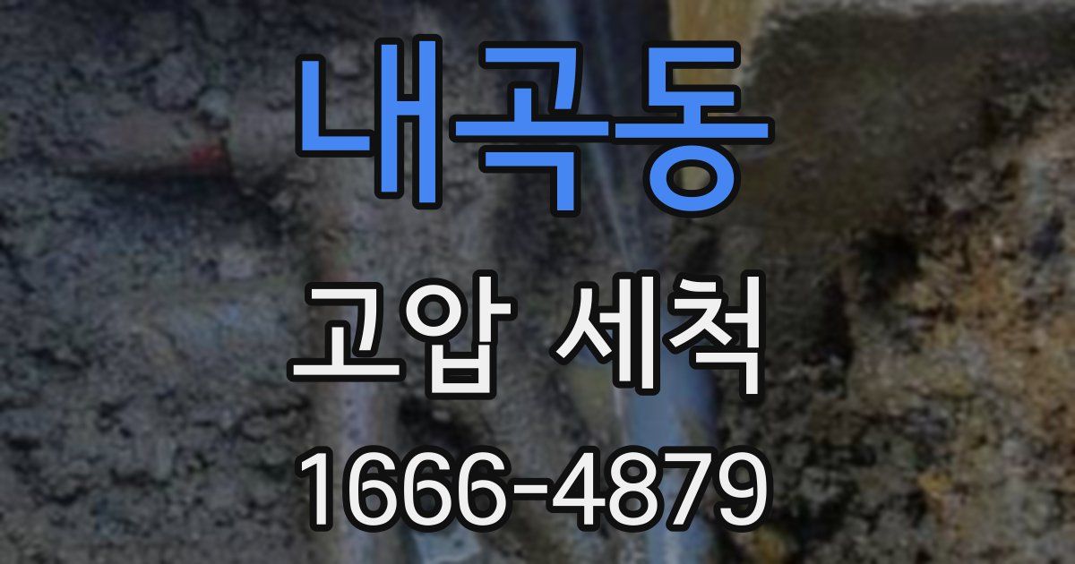 내곡동 고압 세척