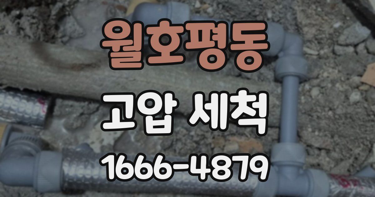 월호평동 고압 세척
