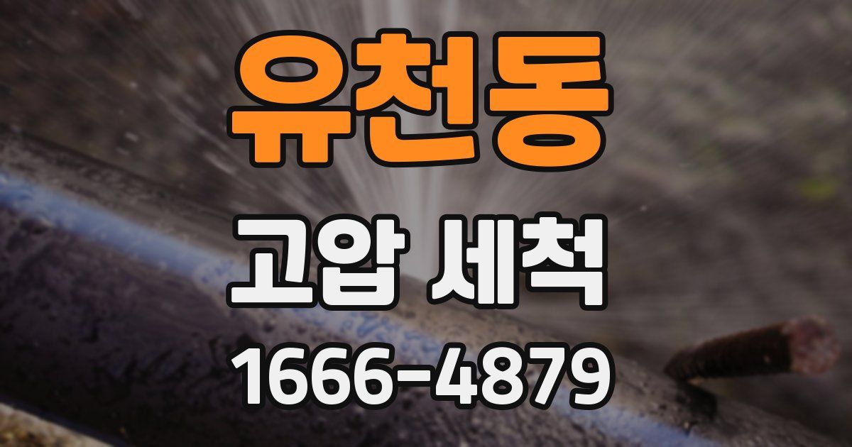 유천동 고압 세척