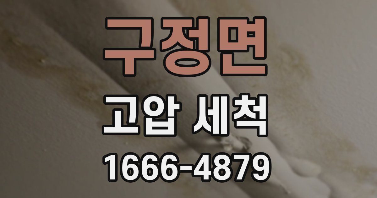 구정면 고압 세척