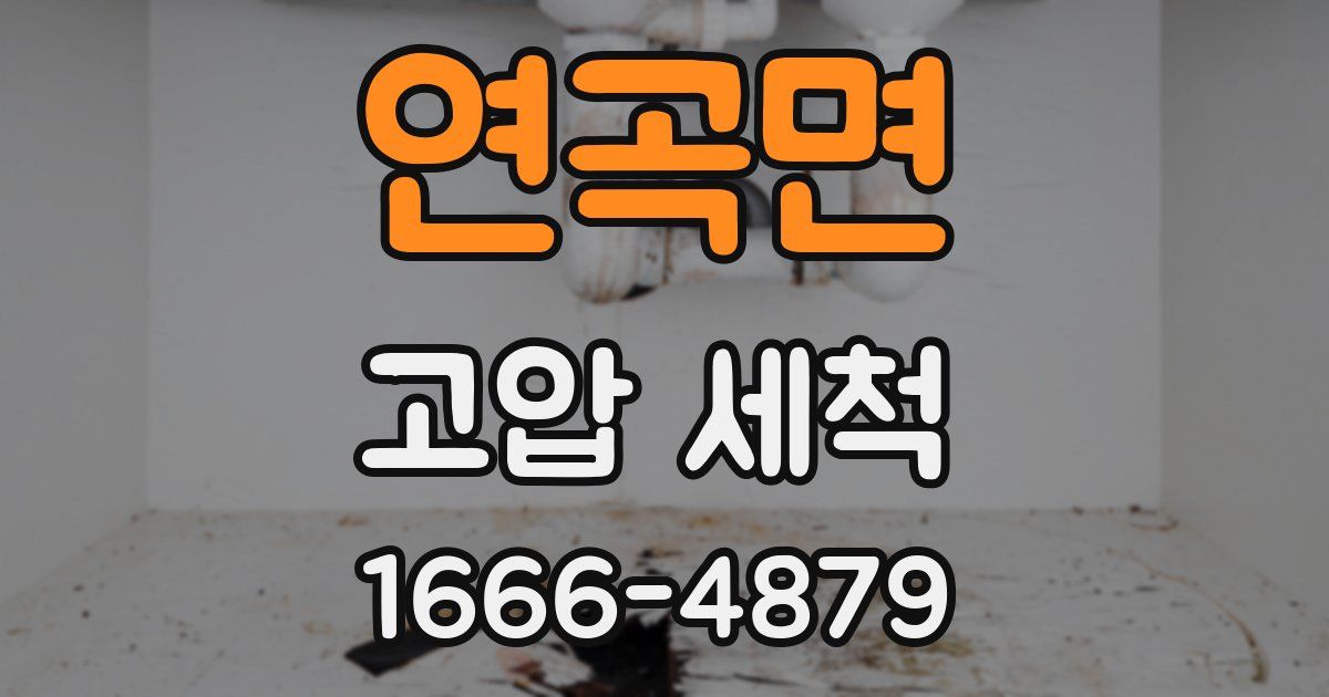 연곡면 고압 세척