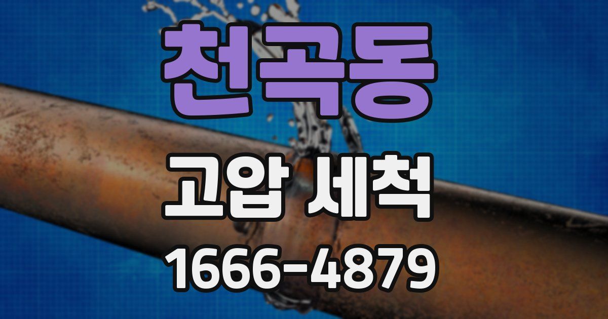 천곡동 고압 세척