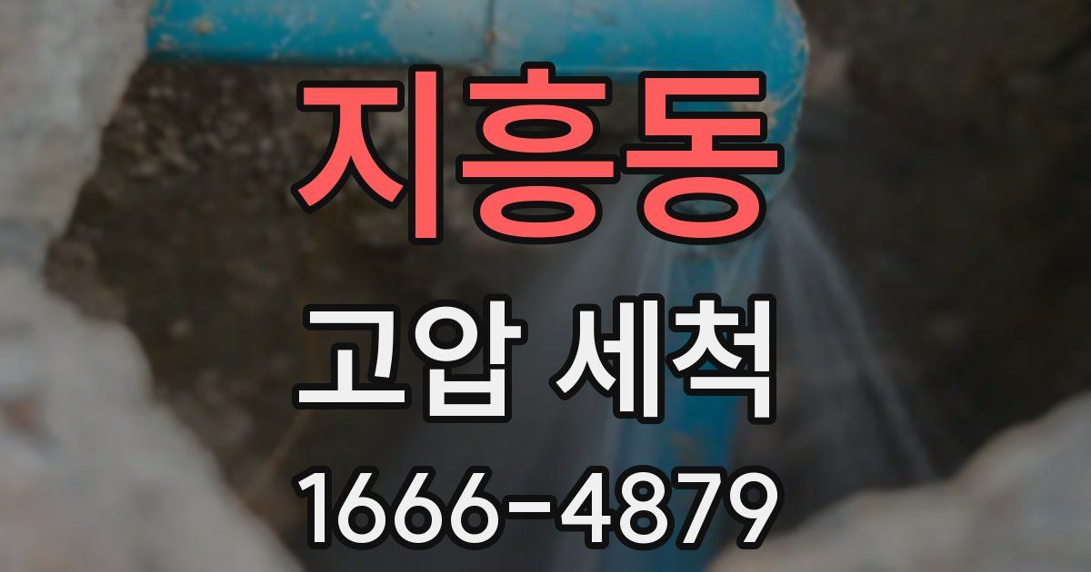 지흥동 고압 세척
