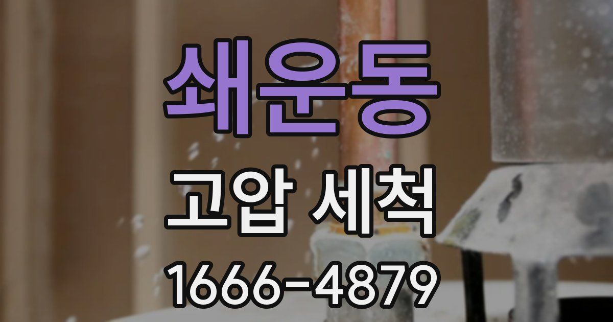 쇄운동 고압 세척