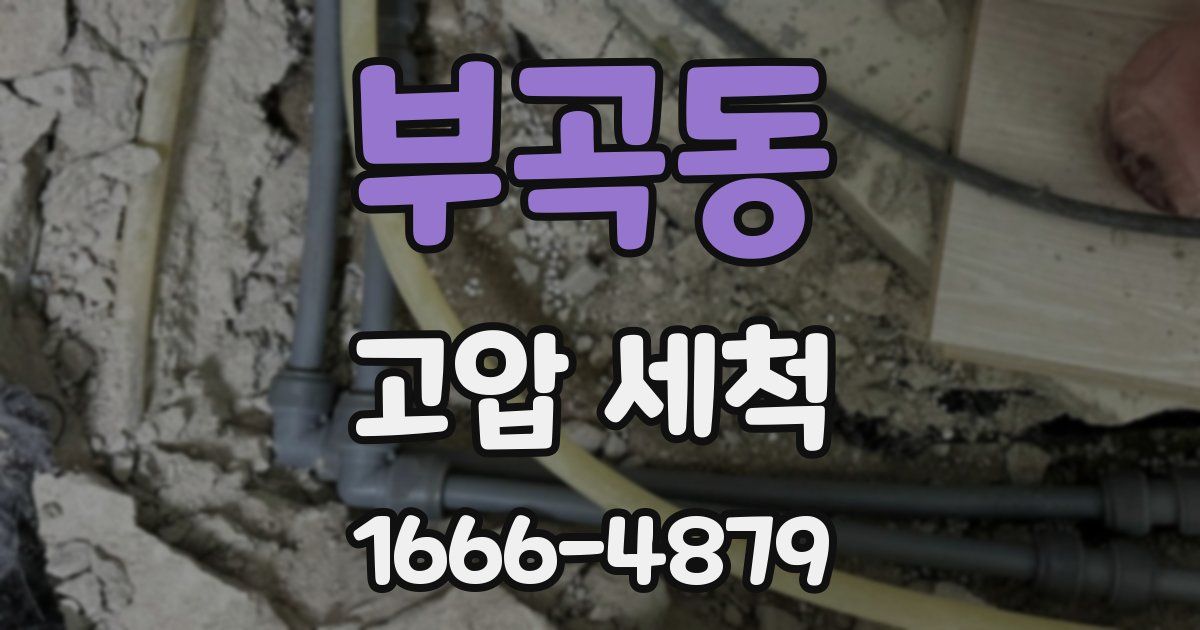 부곡동 고압 세척