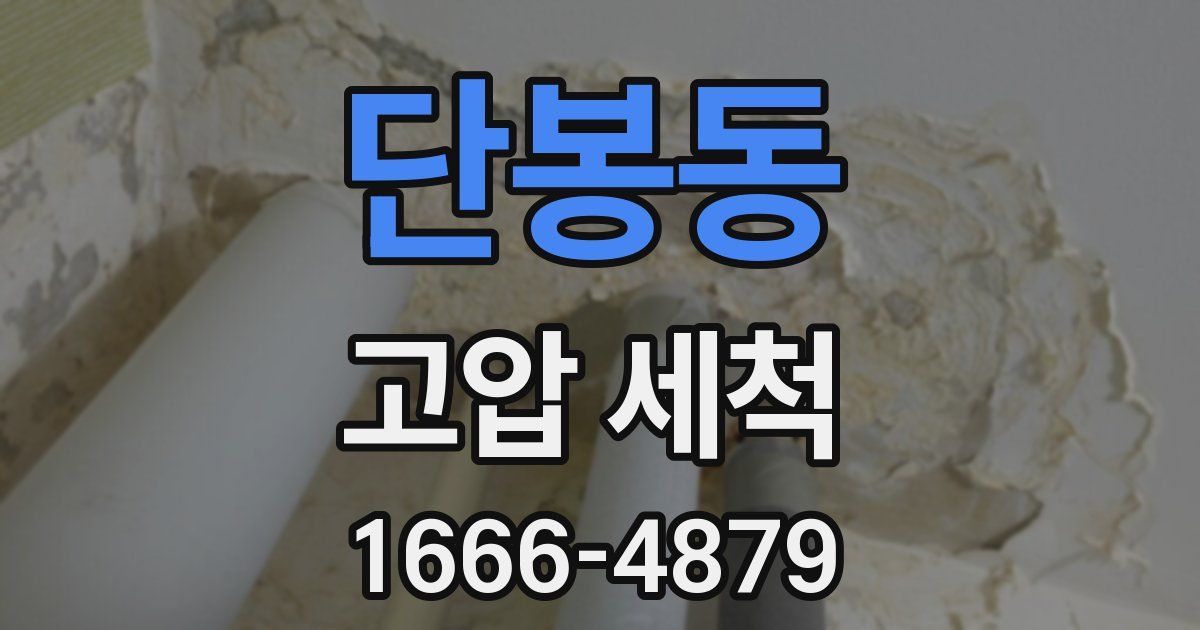 단봉동 고압 세척