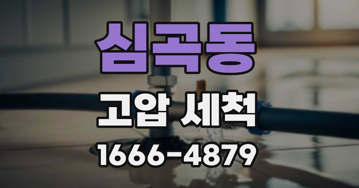심곡동 고압 세척
