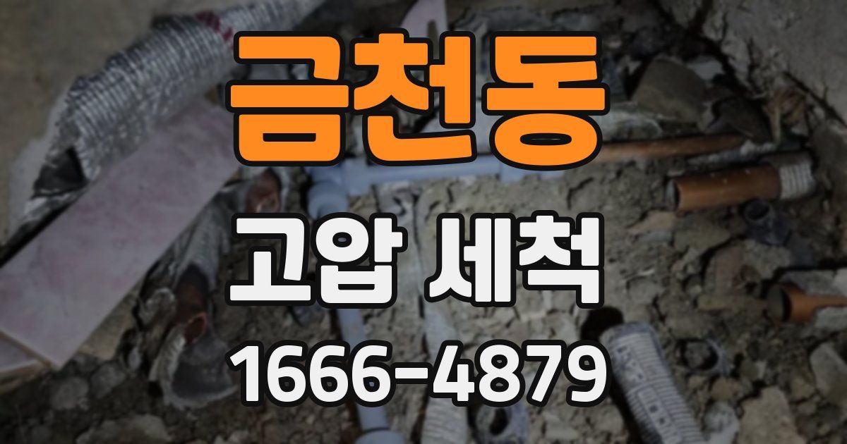 금천동 고압 세척
