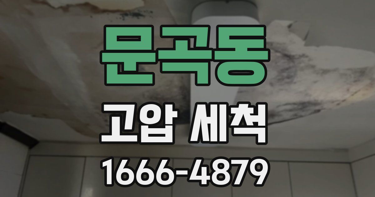 문곡동 고압 세척