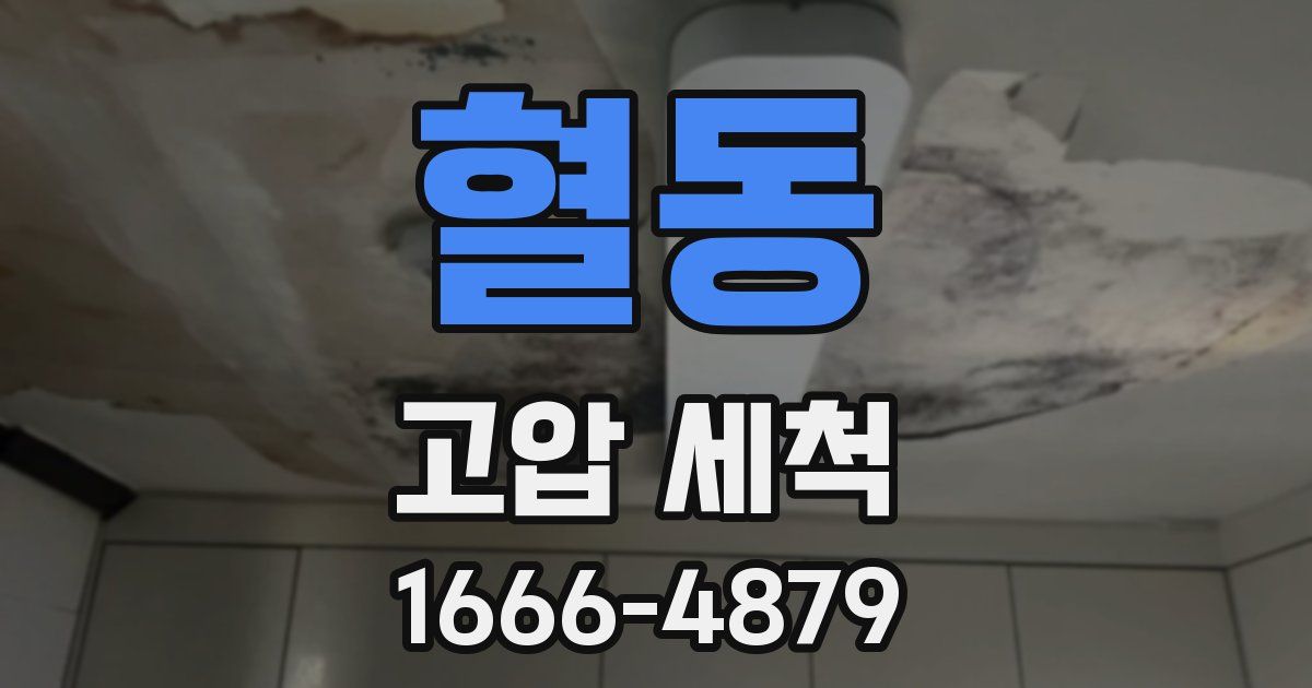 혈동 고압 세척