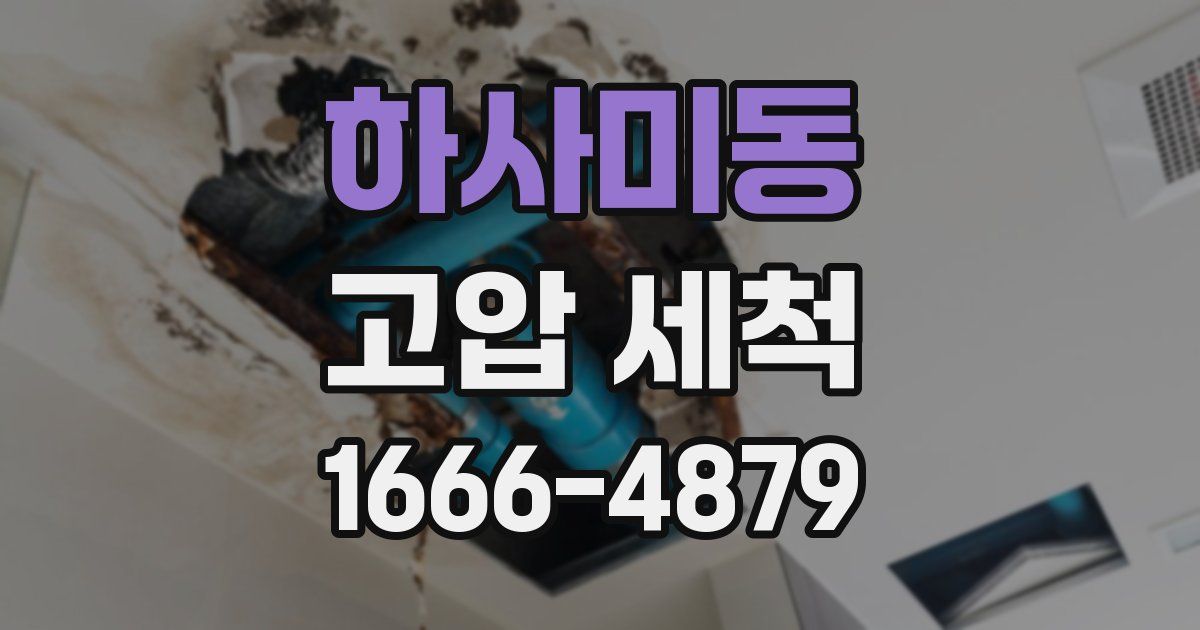 하사미동 고압 세척