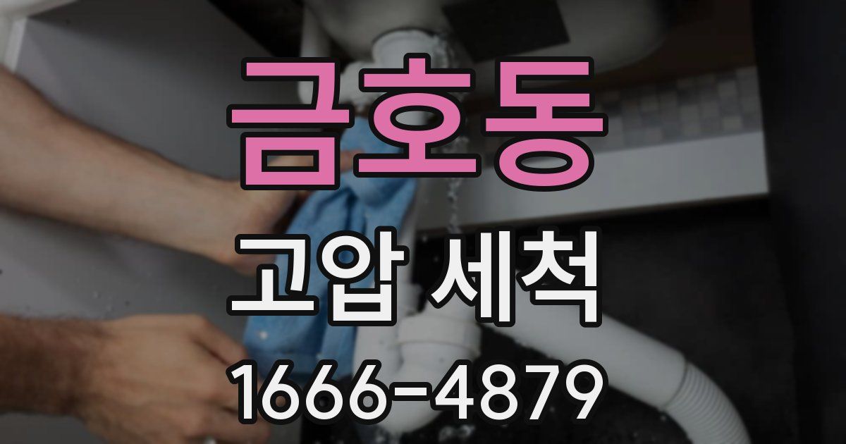 금호동 고압 세척
