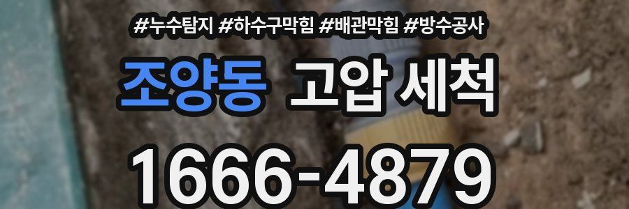 조양동 고압 세척