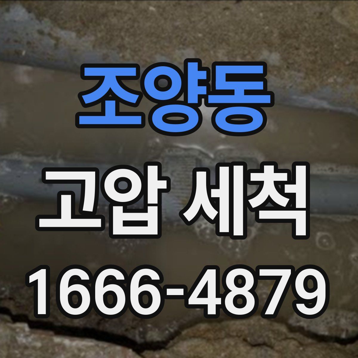 조양동 고압 세척