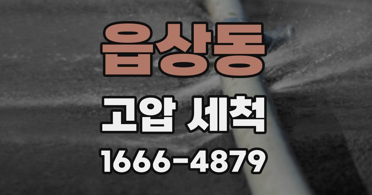 읍상동 고압 세척