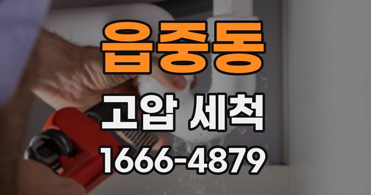 읍중동 고압 세척