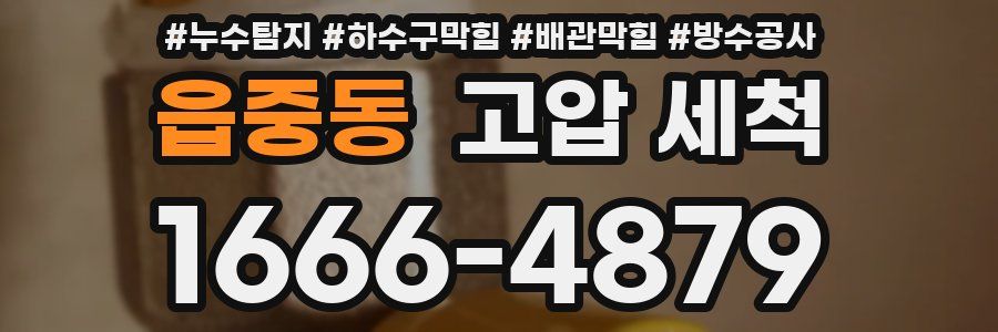 읍중동 고압 세척