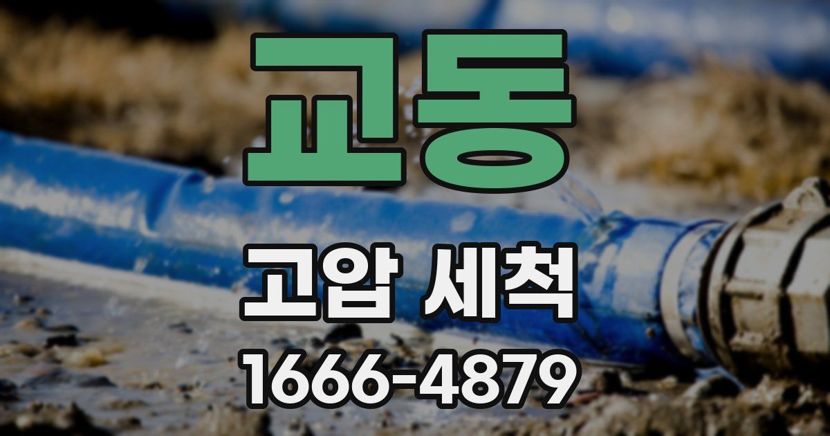 교동 고압 세척