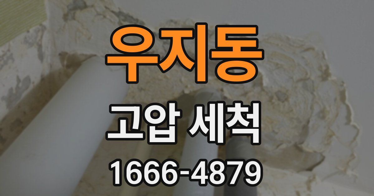 우지동 고압 세척