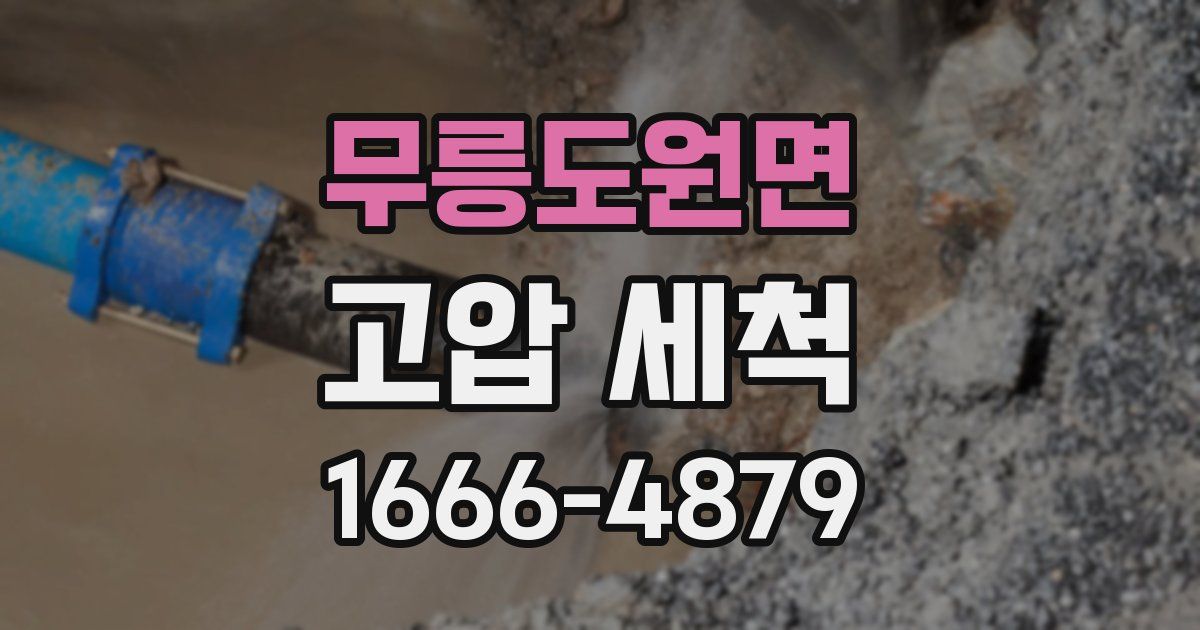 무릉도원면 고압 세척