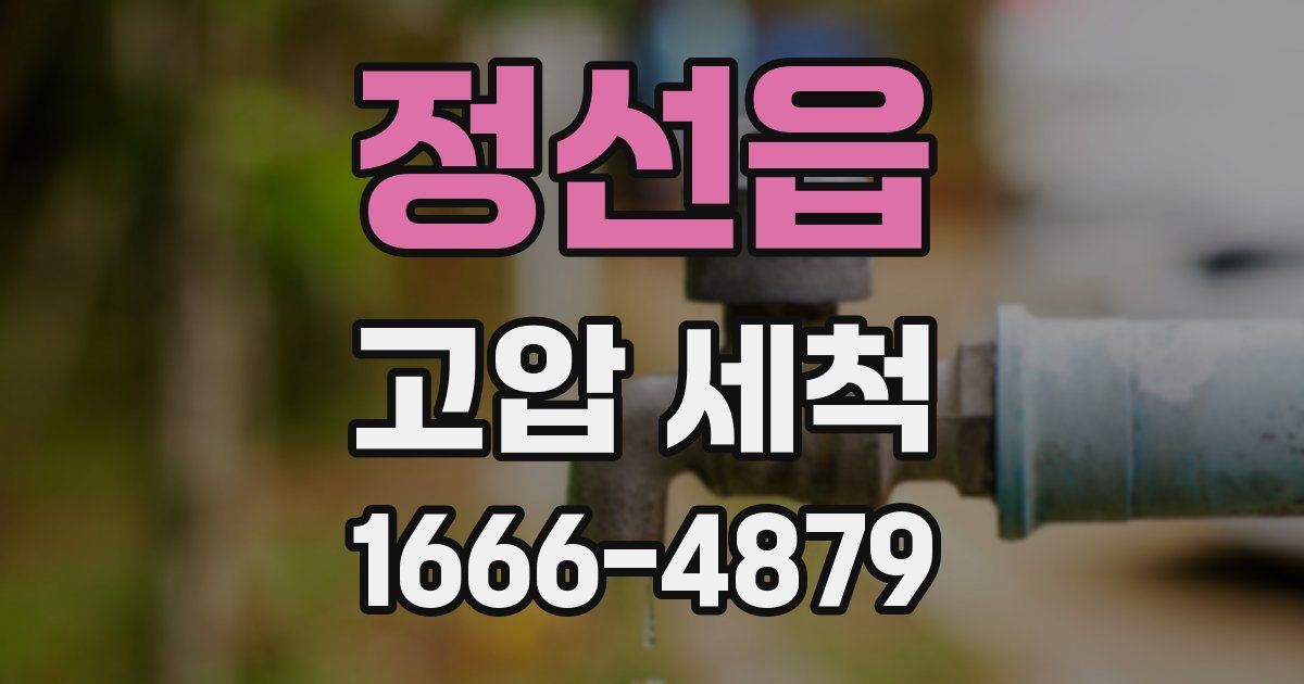 정선읍 고압 세척