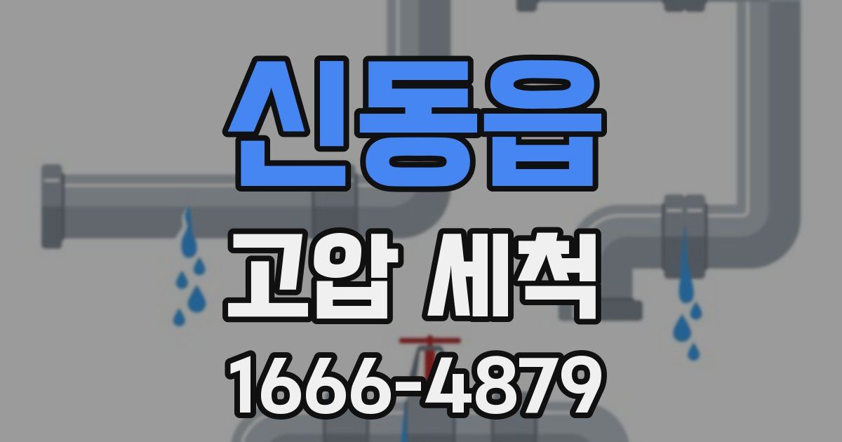 신동읍 고압 세척