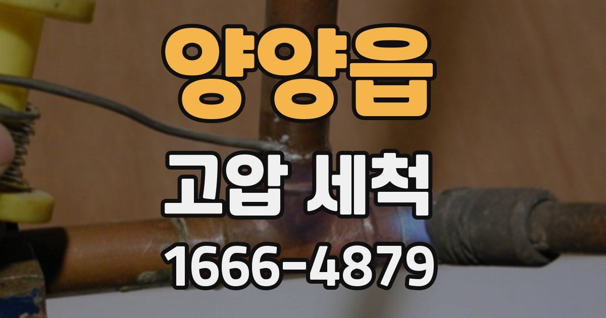 양양읍 고압 세척