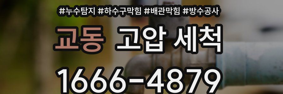 교동 고압 세척