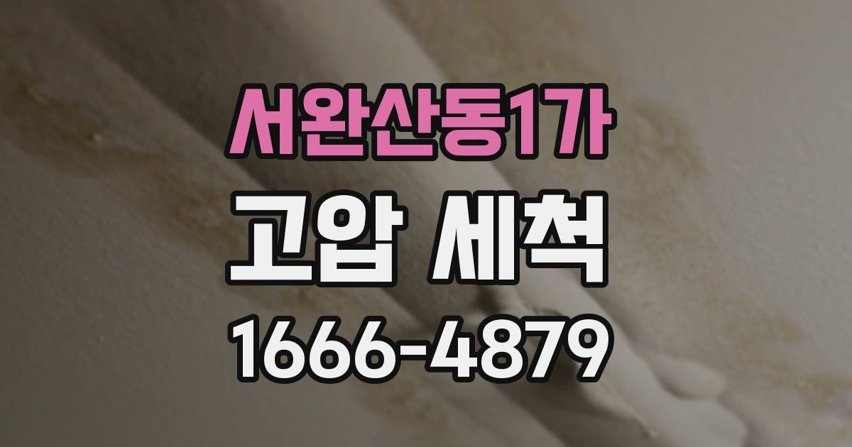 서완산동1가 고압 세척