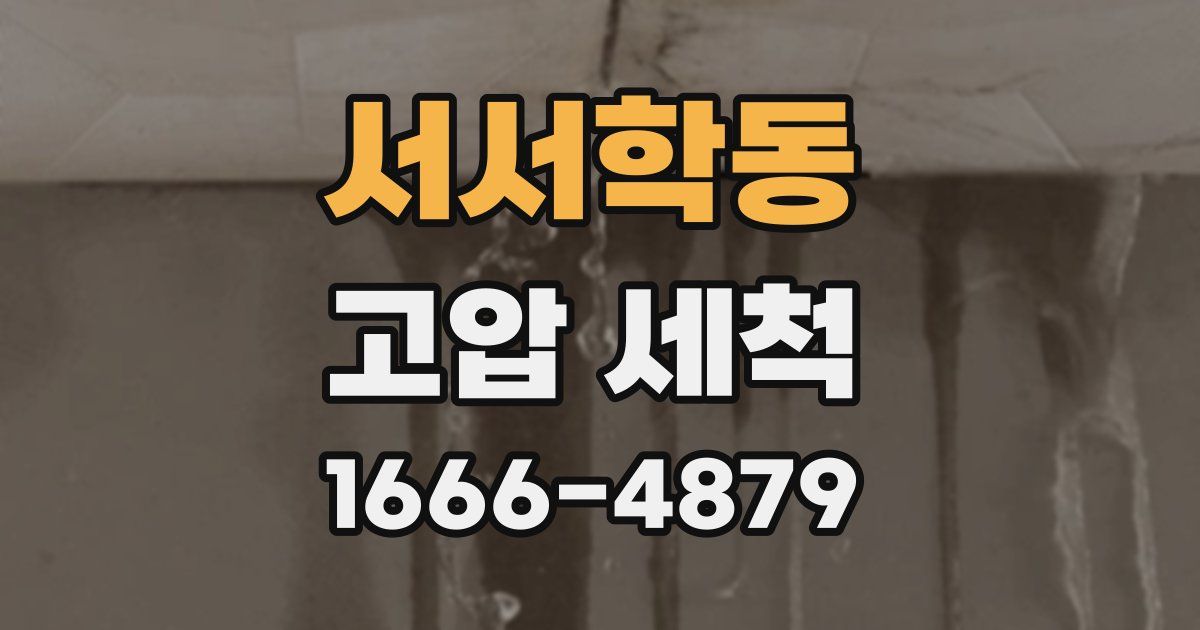 서서학동 고압 세척
