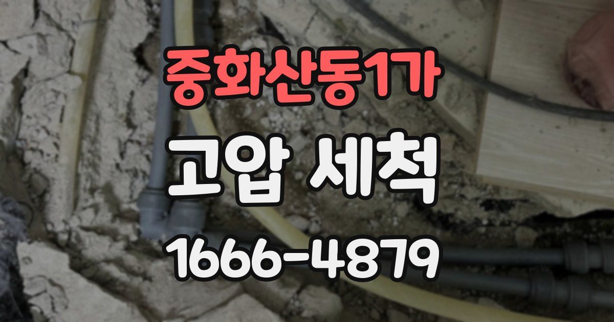 중화산동1가 고압 세척