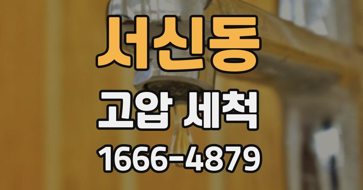 서신동 고압 세척