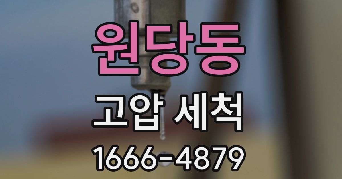 원당동 고압 세척