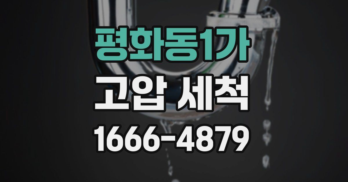 평화동1가 고압 세척