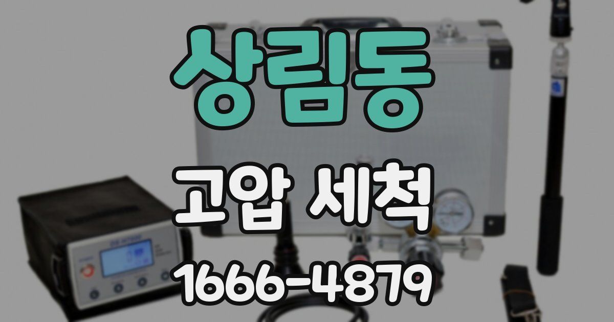 상림동 고압 세척