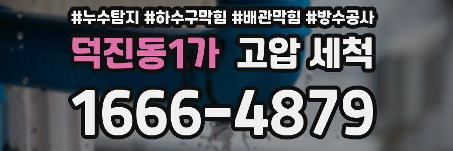 덕진동1가 고압 세척