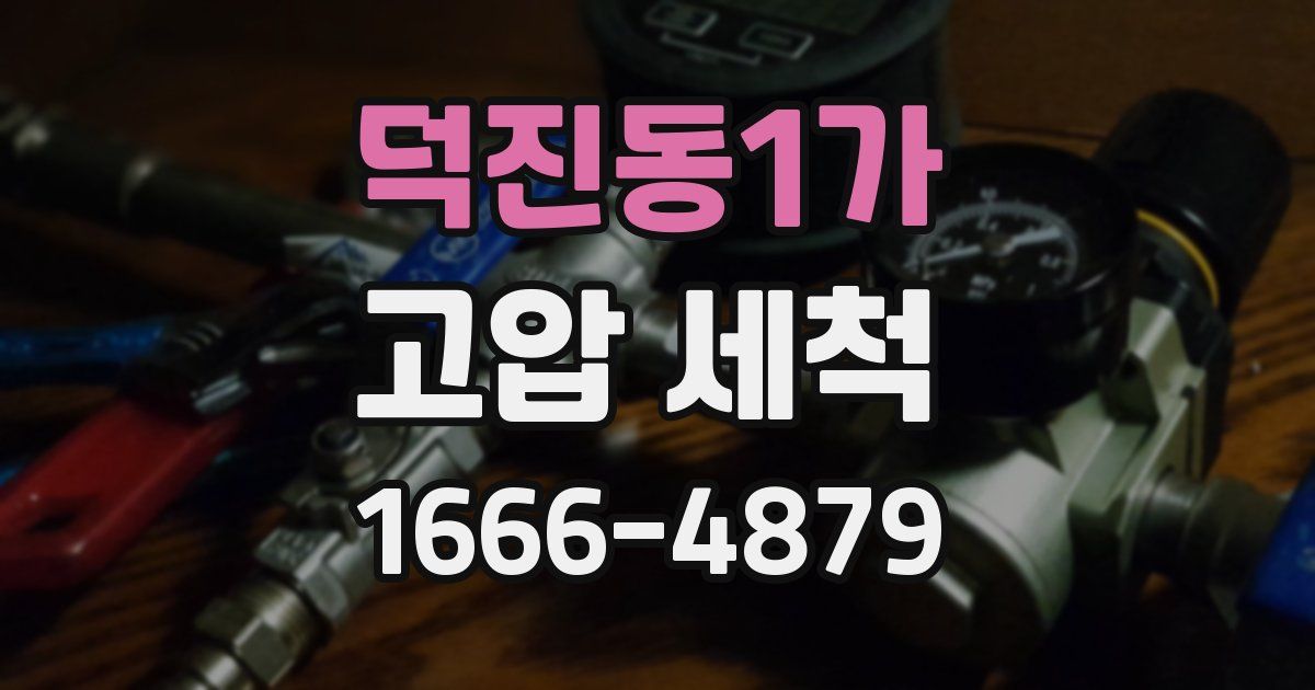 덕진동1가 고압 세척