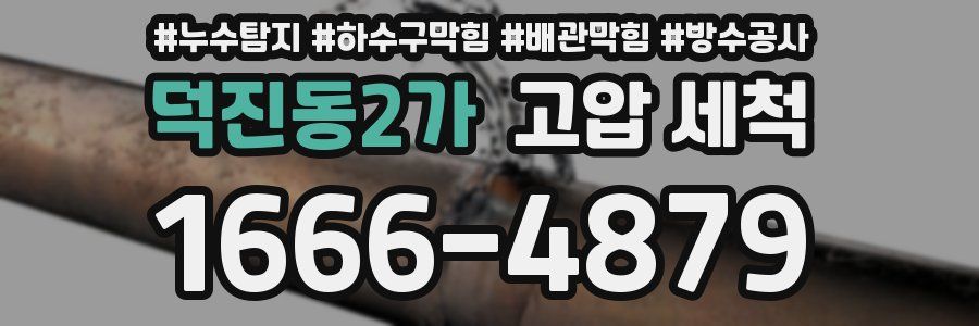 덕진동2가 고압 세척