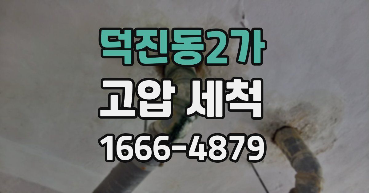 덕진동2가 고압 세척