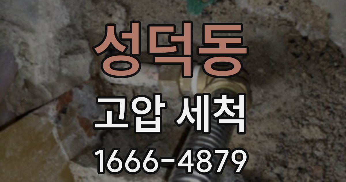 성덕동 고압 세척