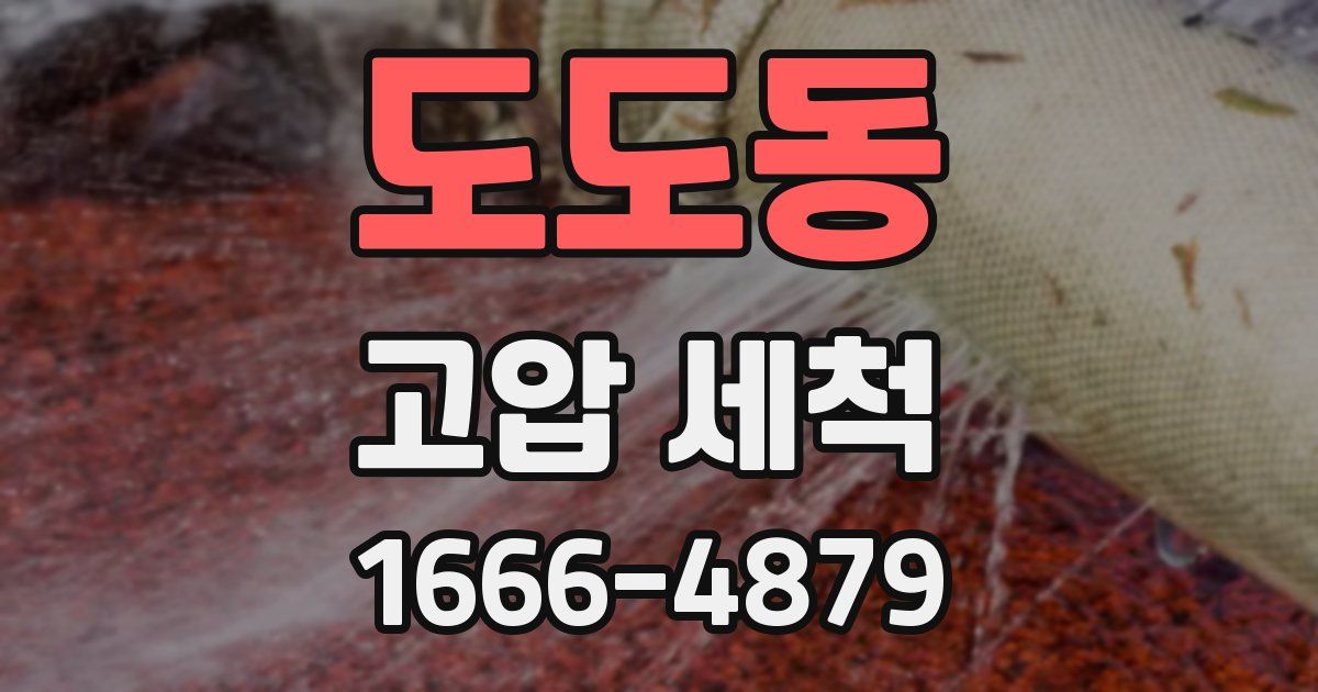 도도동 고압 세척