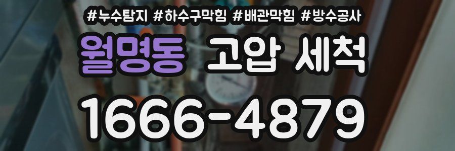 월명동 고압 세척