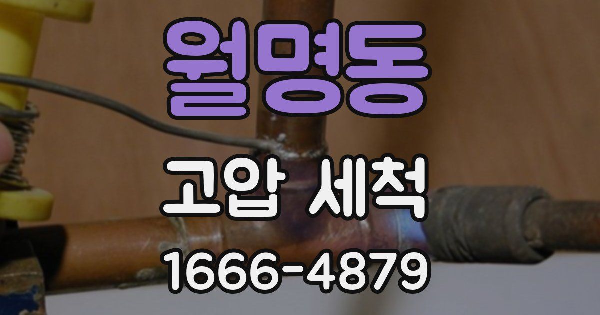 월명동 고압 세척