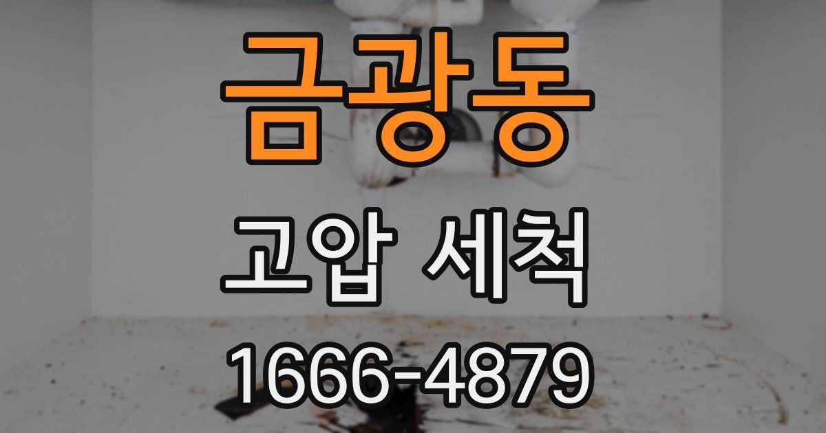 금광동 고압 세척