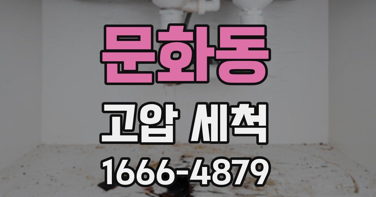 문화동 고압 세척