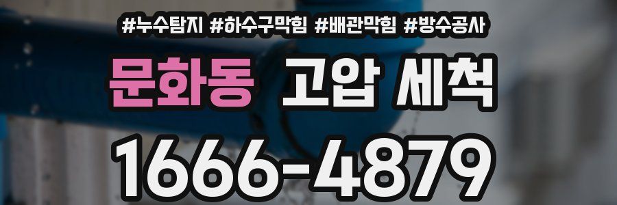 문화동 고압 세척