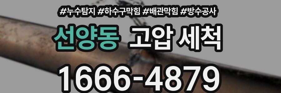선양동 고압 세척