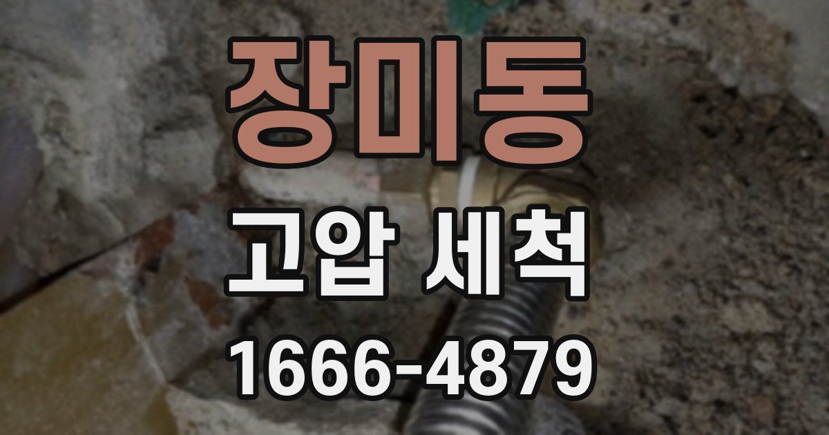 장미동 고압 세척
